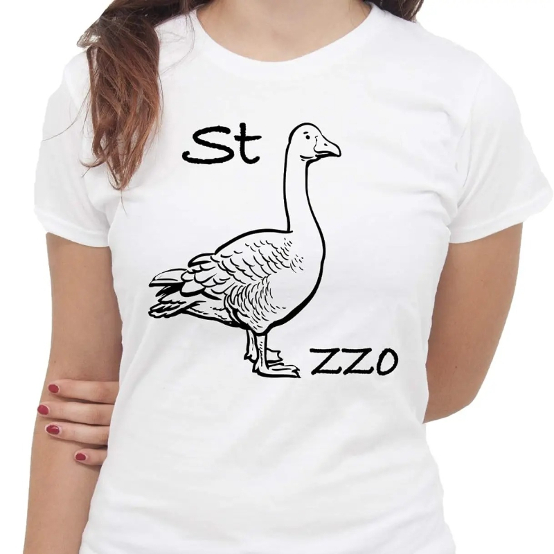 Summer Clothing Images - IMage Goose Rebus T-Shirt Funny T-Shirt