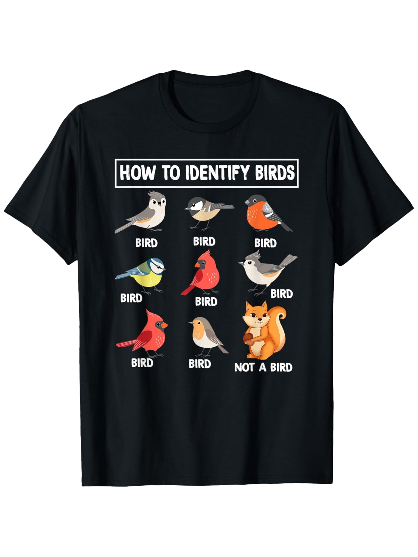 How To Identify Birds, Non-bir - Summer Clothing Pictures recension och pris